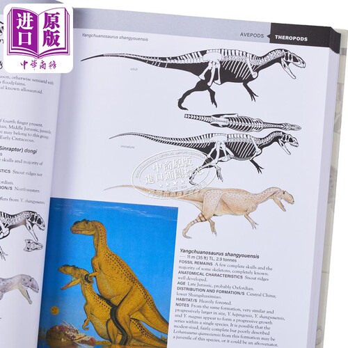 普林斯顿田野指南 恐龙 第三版 The Princeton Field Guide to Dinosaurs 英文原版 Gregory S Paul 科普百科【中商原版】 - 图2
