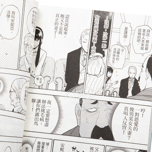 漫画 间谍家家酒 系列作品 远藤达哉 SPY×FAMILY过家家 台版漫画小说公式书 东立出版【中商原版】 - 图2