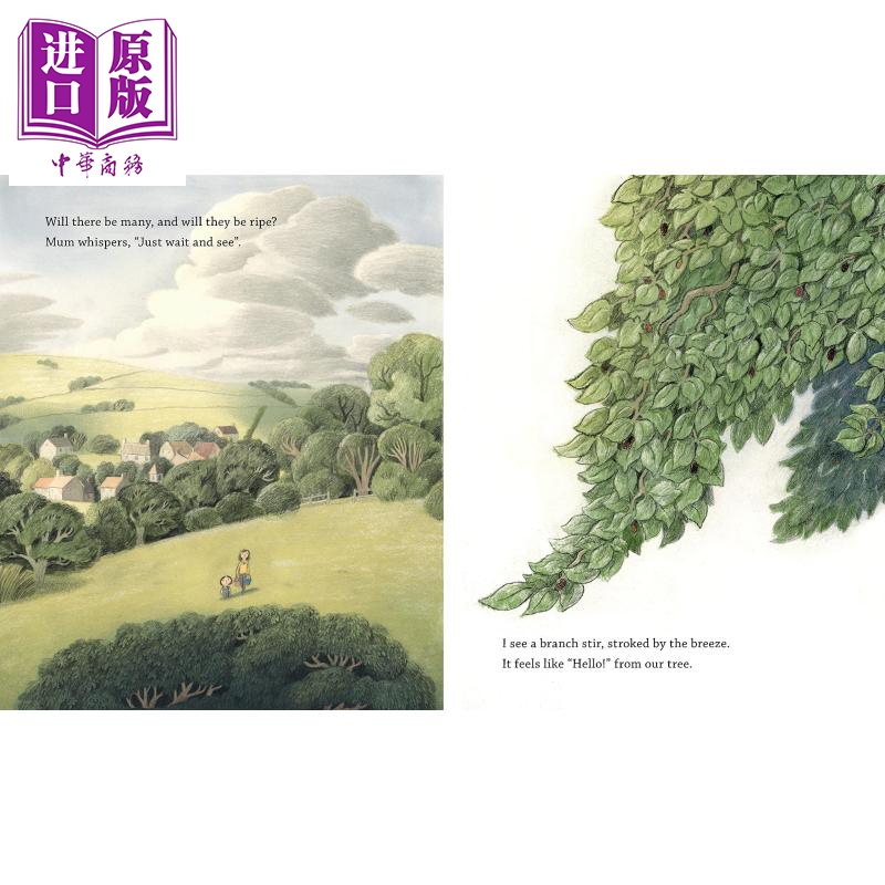 现货 Mum, Me and the Mulberry Tree 妈妈、我和桑树 英文原版 进口原版 3岁到6岁 精装儿童绘本 Tanya Rosie【中商原版】 - 图0