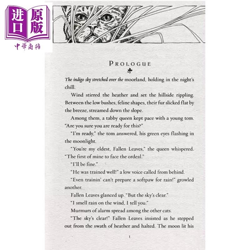 猫武士三部曲三力量6册 赠音频 620~770L Warriors Power of Three 英文原版 传奇的猫族成长励志 儿童文学桥梁章节书小说【中商原,淘宝优惠券,粉丝福利购,淘宝优惠卷