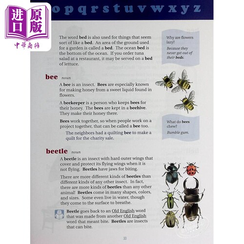 【中商原版】麦林韦氏儿童初级插图字典 英文原版 Merriam Webster's first dictionary 图画字典 儿童词典 6-12岁 - 图3
