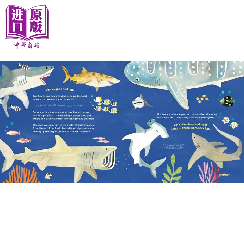 现货 Hello, World! Kids' Guides: Exploring Sharks兰登：你好科学小世界：鲨鱼 英文原版 进口图书 科普知识绘本【中商原版】 - 图0