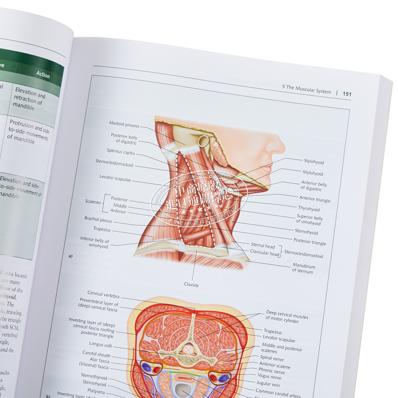 现货 解剖学 生理学和病理学 第3版 英文原版 Anatomy Physiology and Pathology Ruth Hull 基础医学图书【中商原版】 - 图2