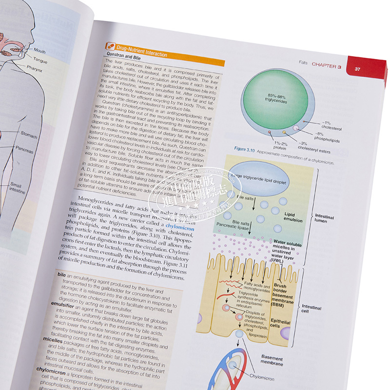Williams基本营养和饮食疗法 第16版 英文原版 Williams Basic Nutrition and Diet Therapy Staci Nix McIntosh 中商原版Els - 图2