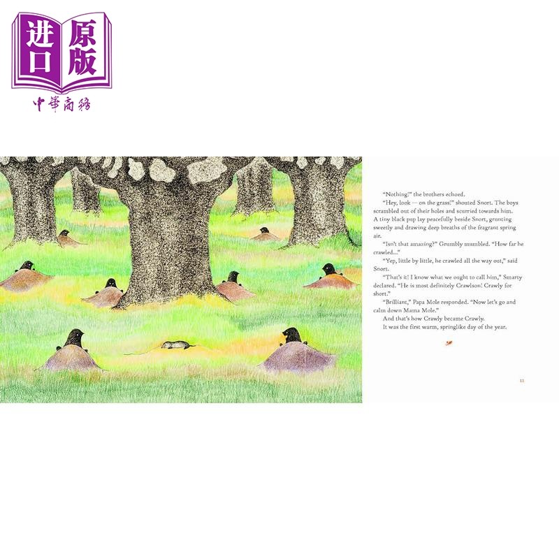 谁来造雪 Marjana Prokhasko Who Will Make The Snow英文原版 儿童绘本 动物故事书 精装 进口儿童读物7岁以上【中商原版】,淘宝优惠券,粉丝福利购,淘宝优惠卷