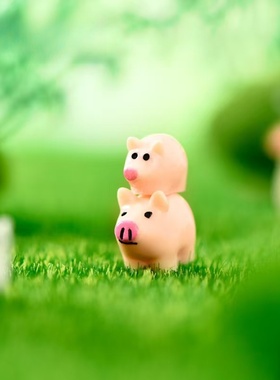 苔藓微景观猪妈妈和小猪公仔摆件