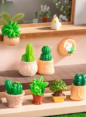 微景观创意挂壁绿植多肉仙人掌盆