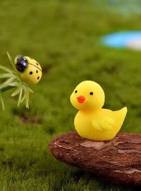 苔藓微景观创意可爱小动物公仔