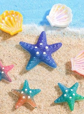 微景观创意渐变海星贝壳装饰摆件