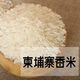 赛亚柬埔寨茉莉香米10斤包邮 进口长粒香米新鲜大米批发团购5kg