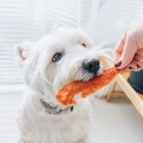 Doggyman Dogge Man -весь кусок оригинальной куриной маленькой груди, не добавляя мясные резкие награды, тренирующие награды, закуски собаки, закуски для собак