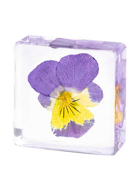 方块书手工滴胶植物生花永朋友摆件送小红礼物文创市集品精致