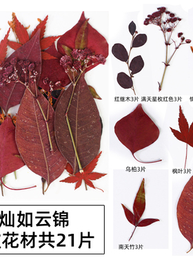 树叶标本植物干花压花押花叶子干草秋天落叶粘贴画手工diy材料包