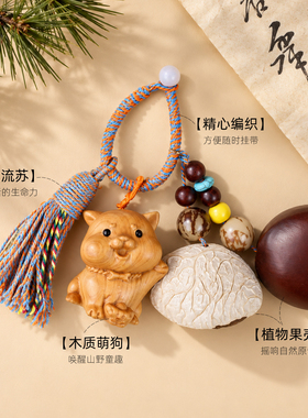 天然果壳风铃手工diy材料包挂件车挂饰音乐摇铃中秋节国庆重阳节
