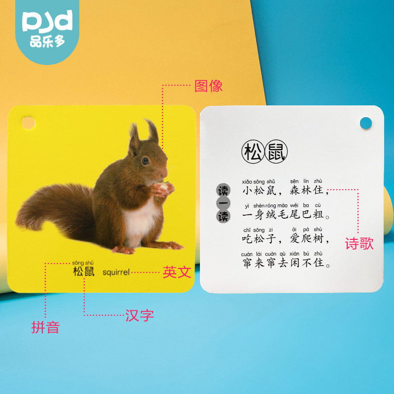 启蒙认知卡片宝宝早教亲子认知卡 品乐多玩具挂图/认知卡