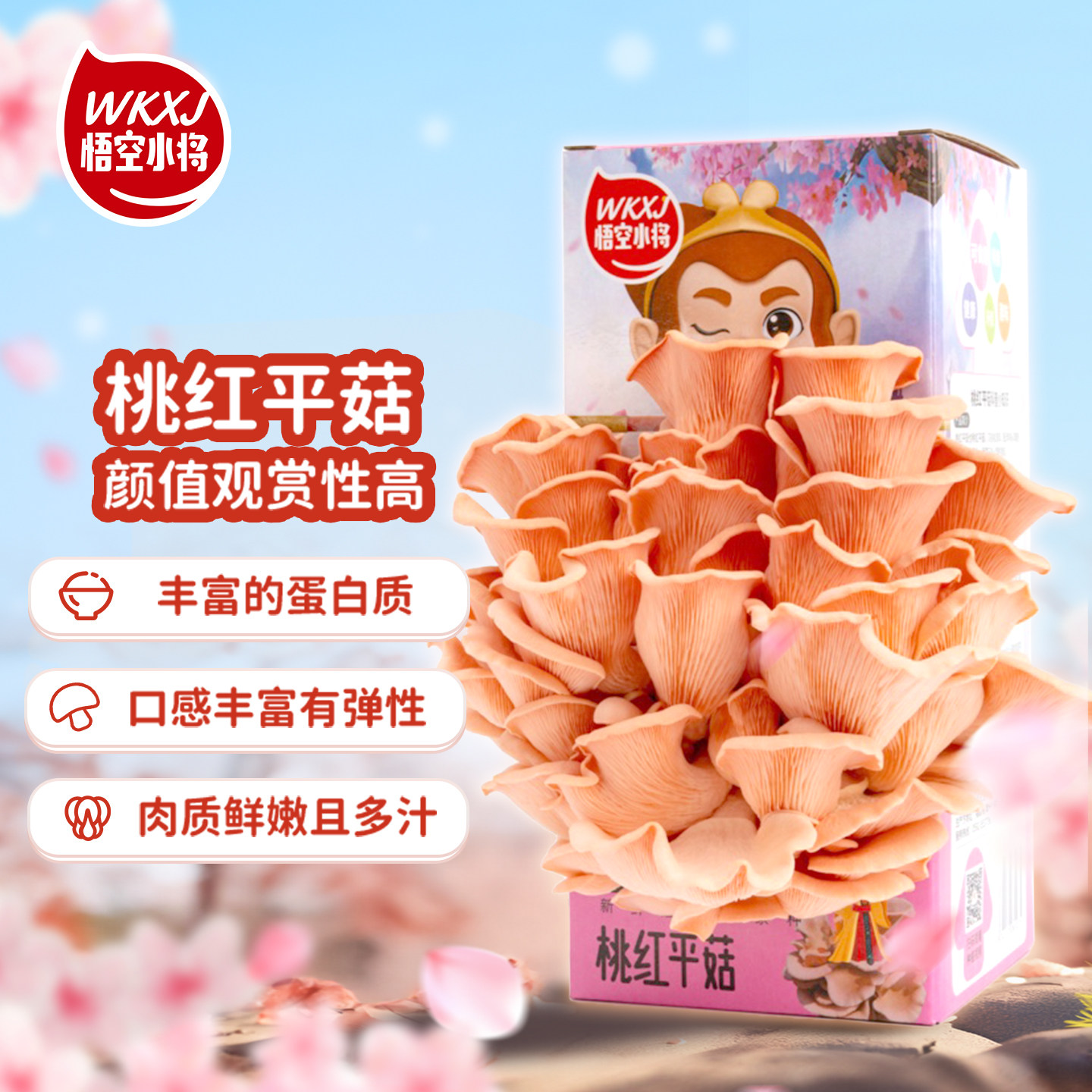 悟空小将蘑菇蘑菇种植包diy平菇菌包黄金种植儿童家庭盆栽菌棒,淘宝优惠券,粉丝福利购,淘宝优惠卷