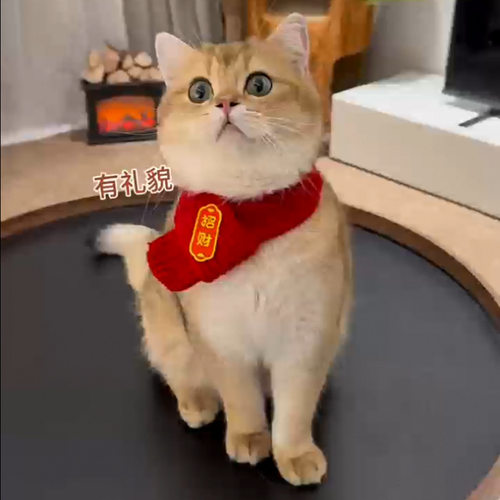 【中国风】猫咪狗宠物围脖针织保暖红色围巾 好寓意创意手工围脖 - 图0