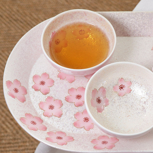 日本进口有田烧田清窑手绘樱花侧把茶壶套装土瓶急须日式可爱茶具 - 图1