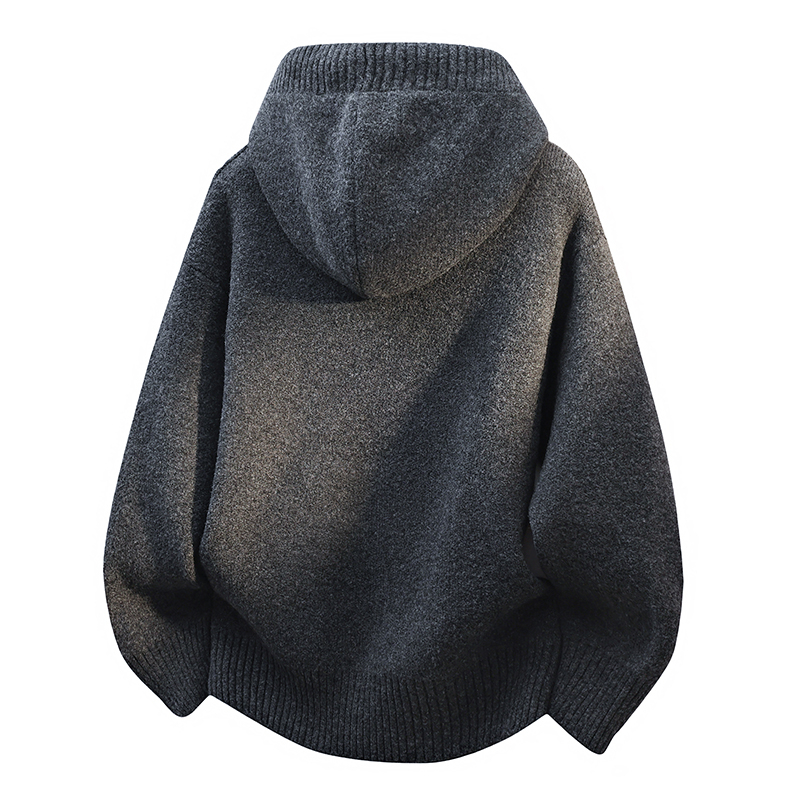 唐狮集团DESSO连帽针织开衫外套男秋季2025新款高级感宽松夹克 - 图2