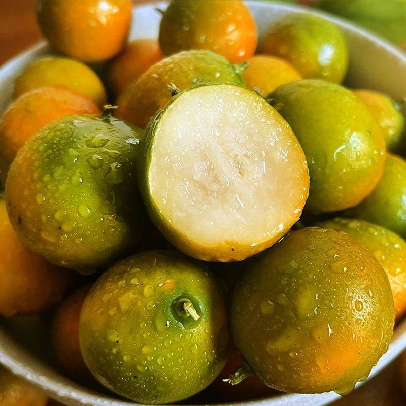 广西脆皮小金桔5斤新鲜桔子应当季水果纯甜蜜金柑孕妇整箱带皮吃 - 图3