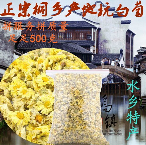 健康菊花茶新花正宗桐乡产杭白菊花朵胎菊菊花茶250g500g朵杭菊茶 - 图0
