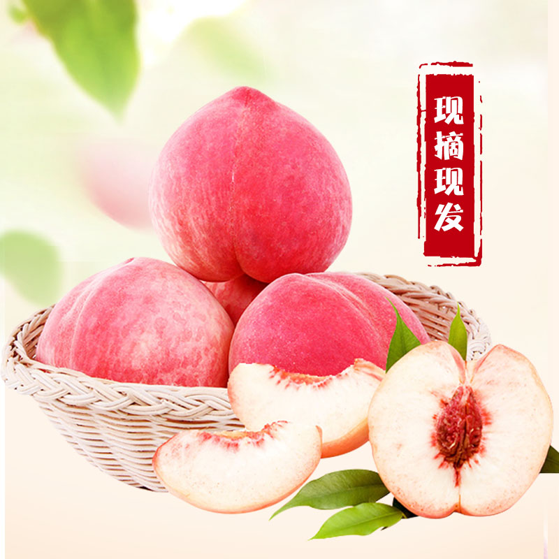 沙河人家生态园【现摘现货水蜜桃】水蜜桃3斤装现摘现发新鲜毛桃水蜜桃现货3