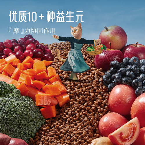 香港晟煜防伪Fromm绿福摩无谷三文鱼鸭肉全猫粮幼猫成猫10磅 - 图2