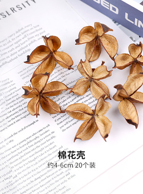 棉花壳子干花客厅创意香包DIY