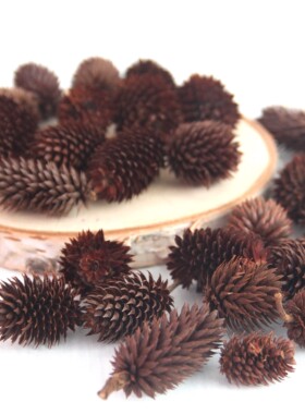 DIY手工松果干花材料摆件圣诞