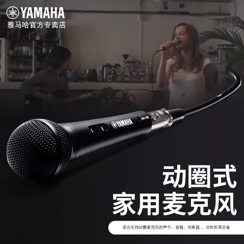 Yamaha/雅马哈DM-105话筒K歌家用舞台卡拉ok专业直播麦克风套装 - 图2