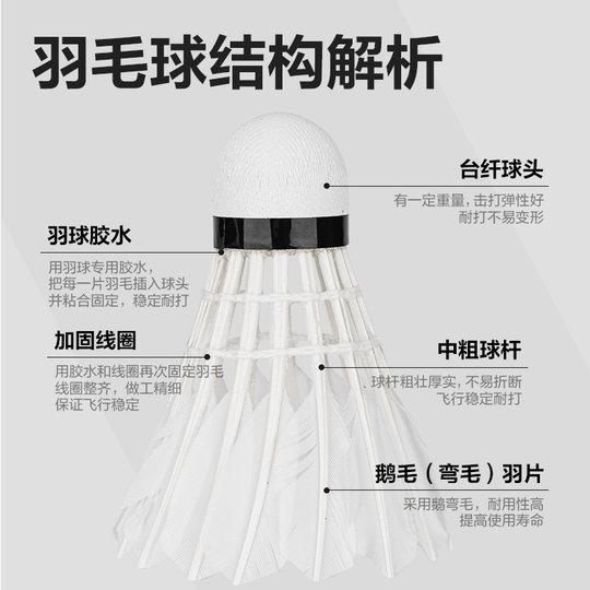 Angelite Deli F2202 Badminton-stabile, elastische, weiche, holzbeständige Gänsefedern, weiß, 12 Stück/Röhre