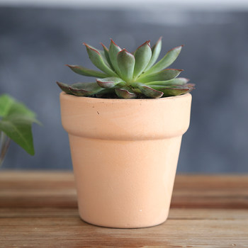 Succulent ceramic flower pot square succulent flower pot relief square small flower pot ເຄື່ອງປັ້ນດິນເຜົາສີແດງ flower pot retro pottery pottery