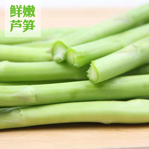 新鲜小青芦笋细芦笋山东曹县芦笋农家自种龙须菜芦笋现采现发芦笋 - 图0