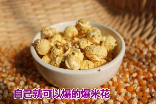 Американский сферический кукурузный попкорн, круглый кукурузный попкорн, попкорн, сырье, 5 фунтов, бесплатная доставка