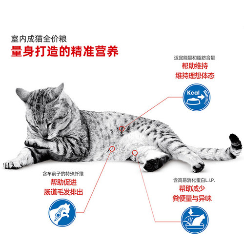 马甸老赵皇家室内成猫粮10KG减粪便臭味成年期猫咪全期I27 - 图1