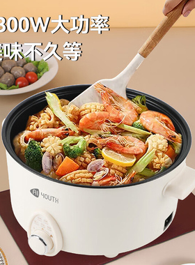 艾青春5L电火锅AI-HG501