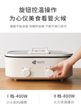 艾青春5.5L电火锅（鸳鸯锅）AI-HG318