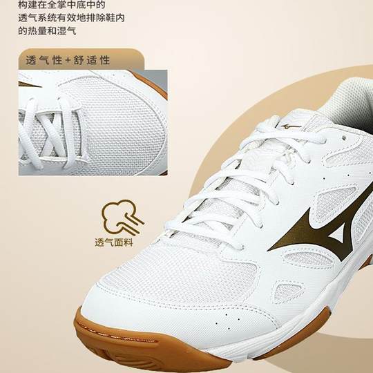 Mizuno美津浓排球鞋排球少年减震男女专业室内综合训练运动鞋羽鞋