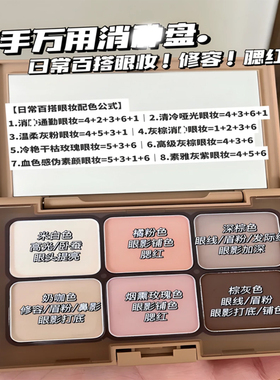 白开水低饱和大地色全哑光综合盘