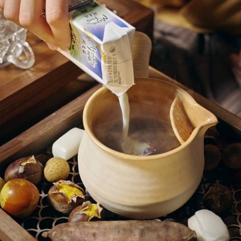 茶诵日式侧把茶壶陶瓷茶道复古粗陶煮茶器煮茶壶泡茶壶小满-第3张图片-提都小院