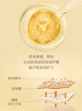 正品 黛宜菲油角鲨烷多效修颜油35ml  5m l 美容油