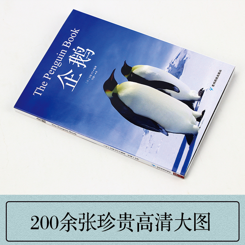 企鹅 这是一本极简企鹅百科 汇集世界上的16种企鹅介绍 企鹅图鉴 给动物爱好者及中小学生的科普书 - 图3