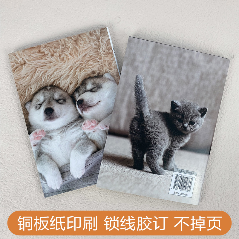 治愈系科普图鉴：小猫+小狗 动物图鉴猫咪猫图鉴宠物猫品种图鉴世界名猫猫科动物鉴赏书籍 热爱养狗的书籍 - 图2