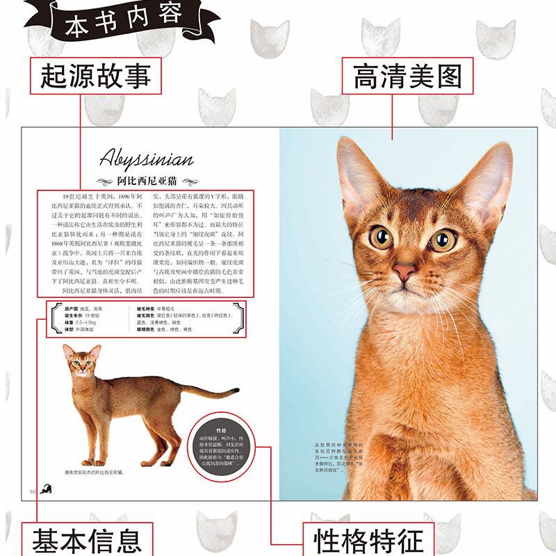 猫百科全书猫图鉴48种世界名猫图鉴猫动物图鉴猫咪书籍养猫指南养猫手册宠物书籍喂养猫的品种大全鉴赏猫咪家庭医学大百科猫咪图书 - 图1