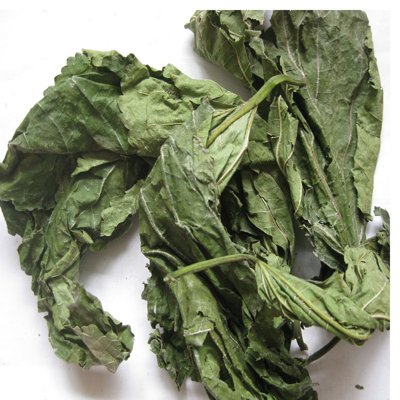 新货桑叶茶500克中药材冬桑叶双桑叶新鲜晒干霜桑叶双叶泡水_虎窝淘