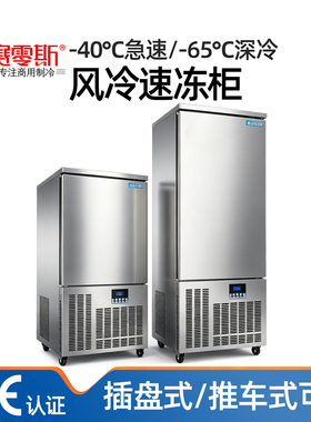 赛零斯商用速冻柜急冻插盘冷柜