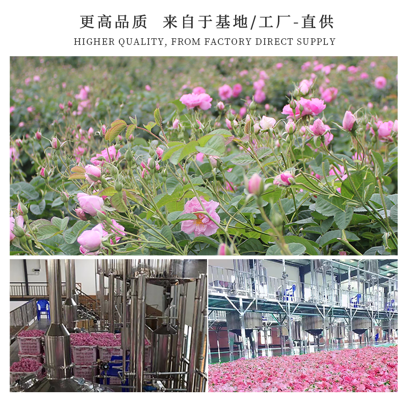 西蔻大马士革玫瑰精油柔顺洗发露300ml控油去屑改善分叉烫染修护 - 图2