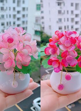 迷你小盆栽材料包手工diy