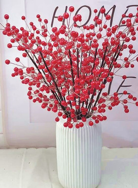 北美冬青果乔迁新居新年