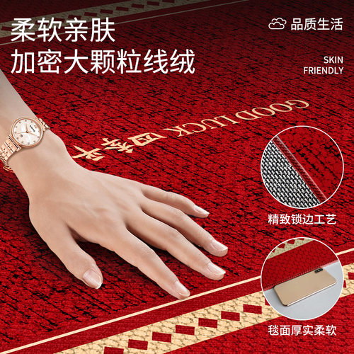 红色高级入户门地垫门口进门脚垫家用新款耐脏免洗可裁剪防滑地毯 - 图0